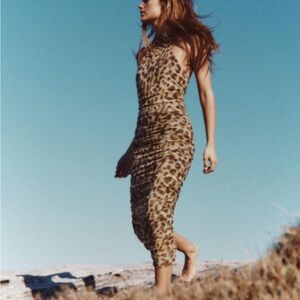 Zara Animal Print Tulle Dress